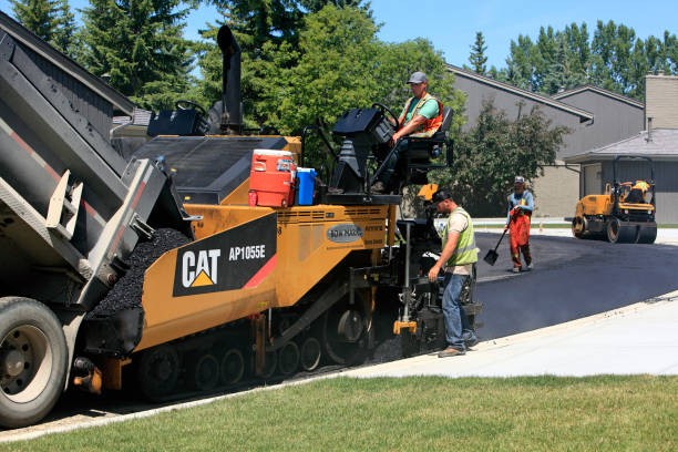 Best Cobblestone Driveway Pavers  in Oak Ridge, FL